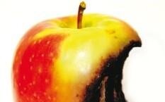 applerotten applerotten