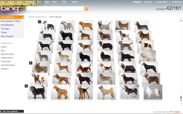 Bing visual search Bing visual search