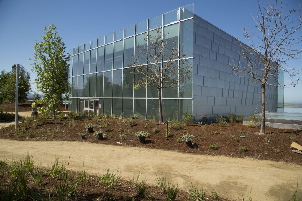 Inside Meta MPK20 green roof lobby at headquarters