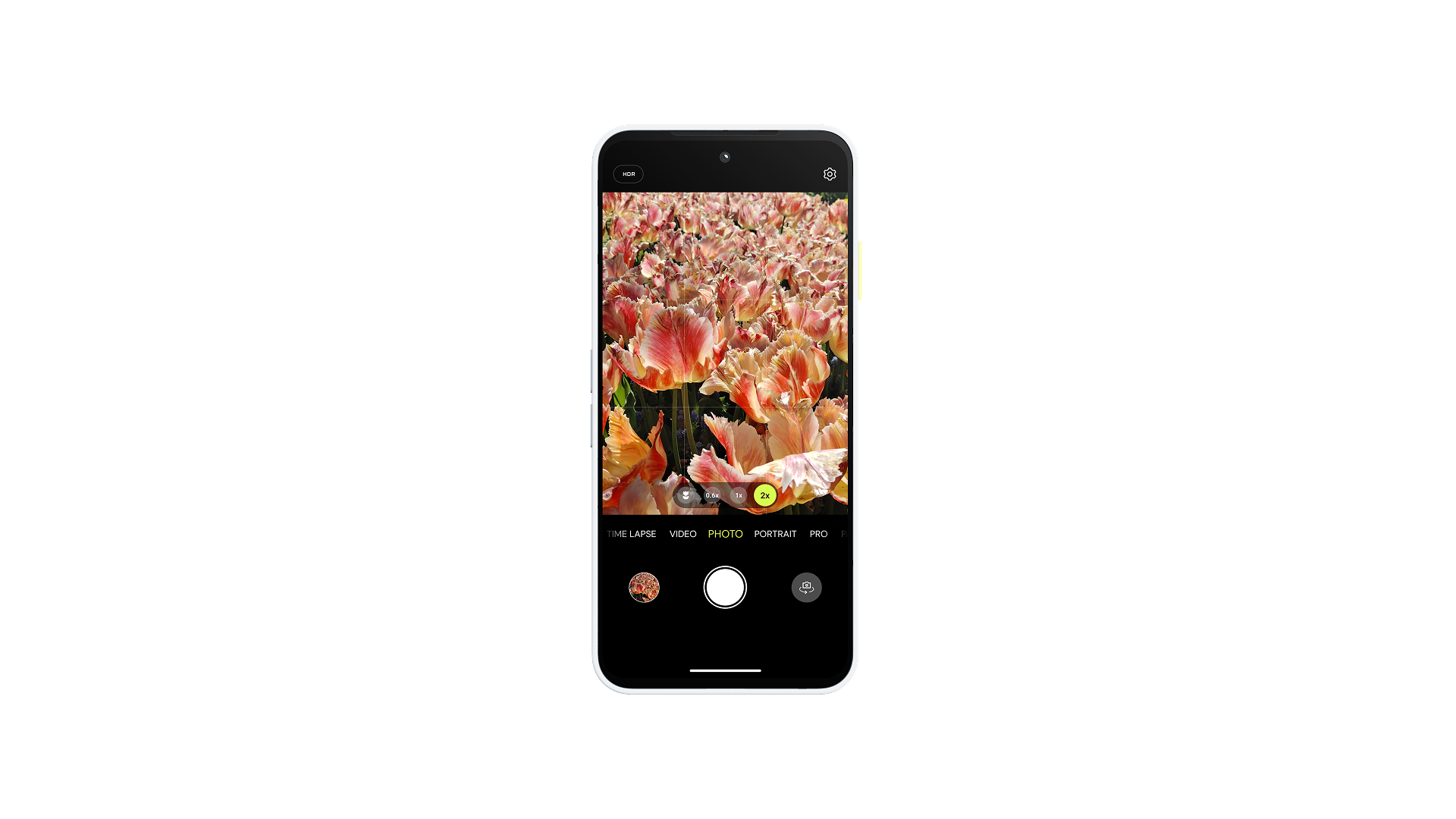 Fairphone Gen 6 official camera app image showing a tulip photo preview