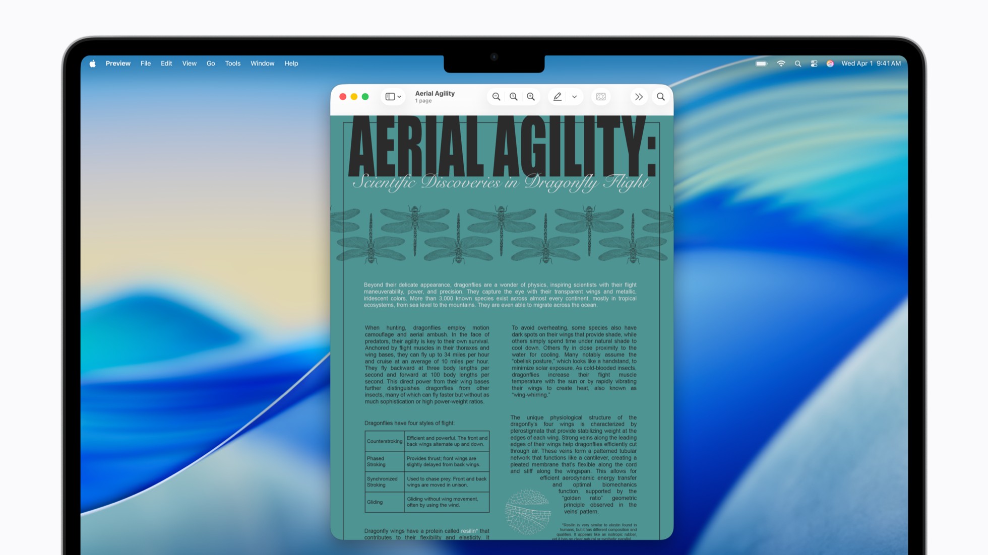Apple accessibility features Accessibility Reader before view on macOS