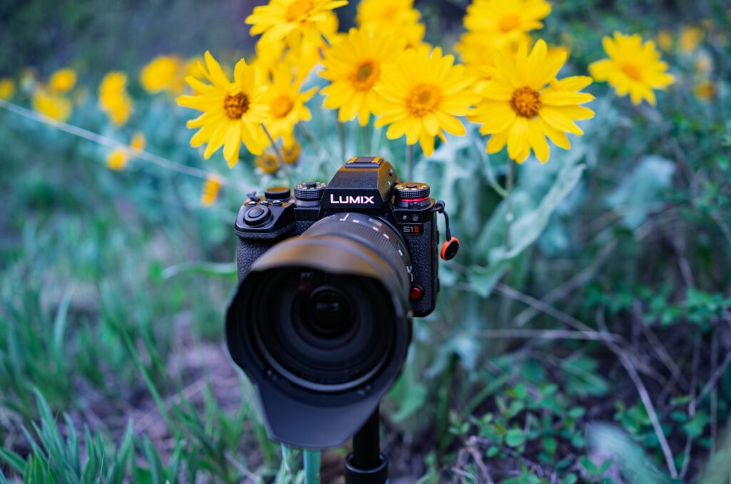 Panasonic Lumix S1 II review: the 6K open-gate hybrid for UK filmmakers