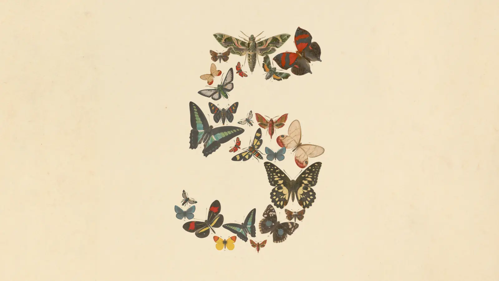Stylised number five formed from illustrated butterflies and moths on a cream background, Anthropic Claude Fable 5 launch artwork