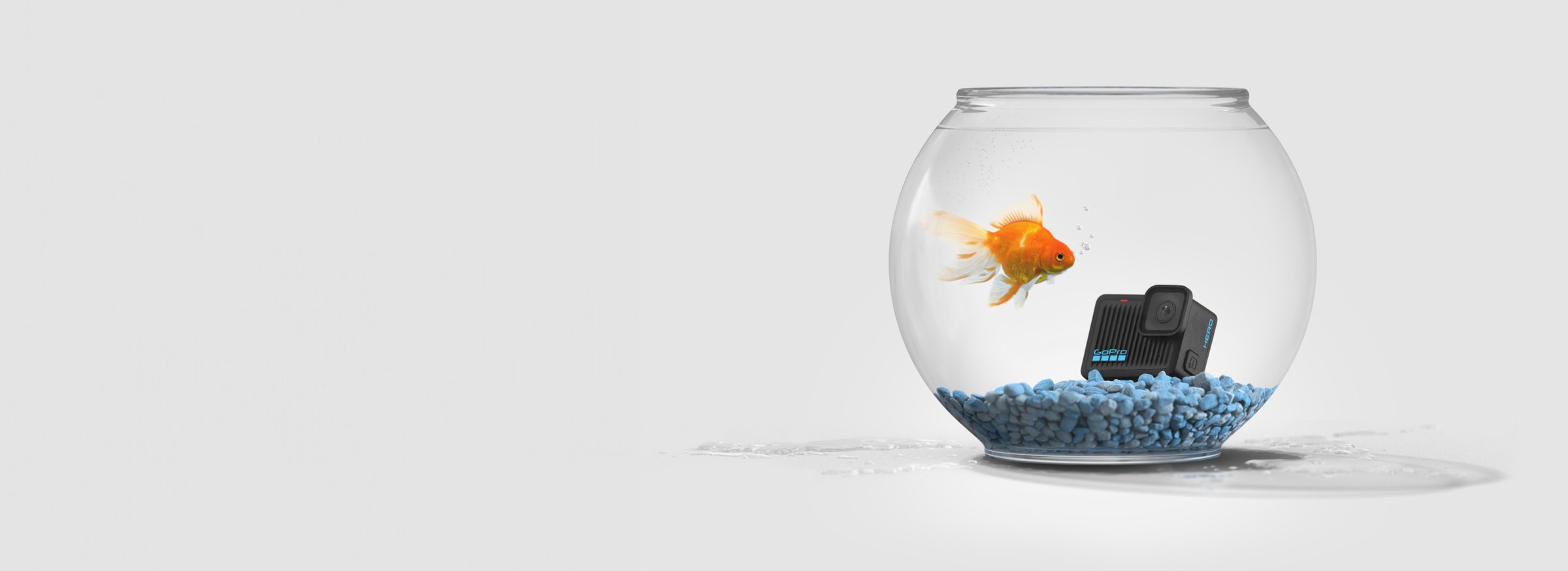 GoPro HERO entry-level action camera resting in a water-filled fishbowl beside a goldfish to show waterproofing