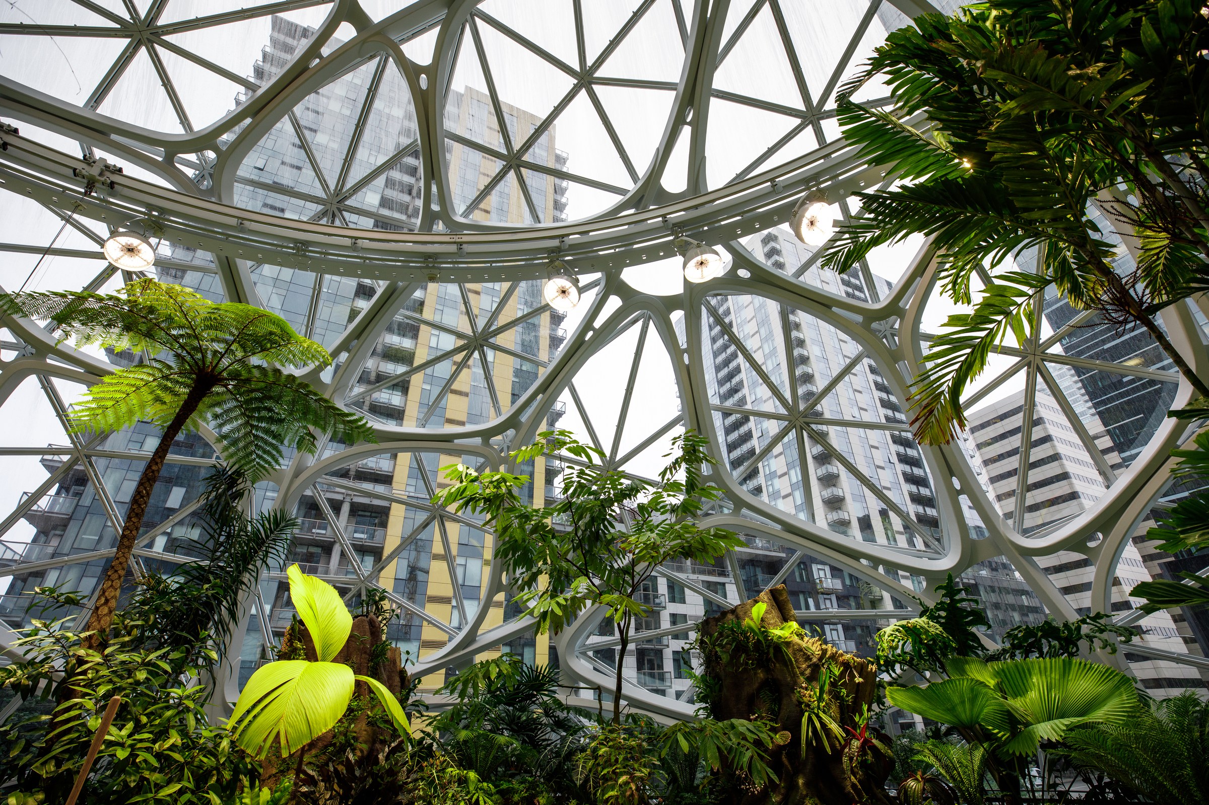 Interior of the Amazon Spheres at the Seattle headquarters, illustrating the scale behind a Prime Day 2026 sale