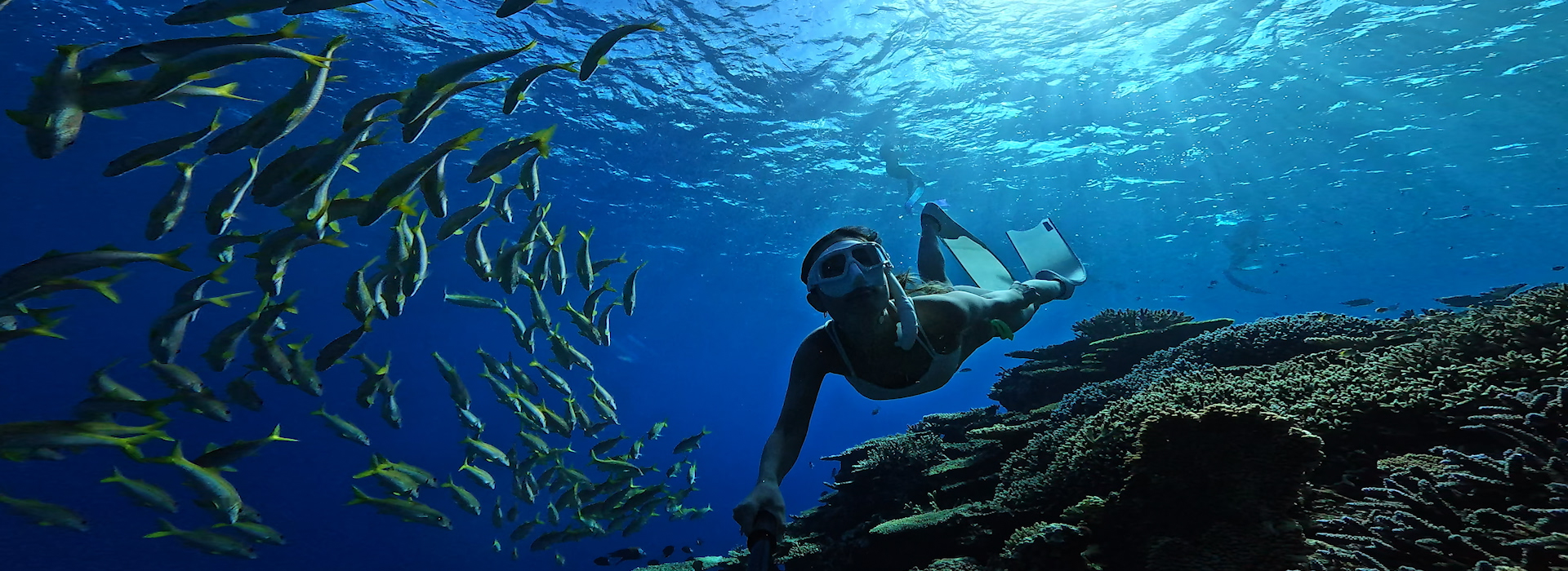 Snorkeller filming a coral reef with the waterproof GoPro Hero 13 Black