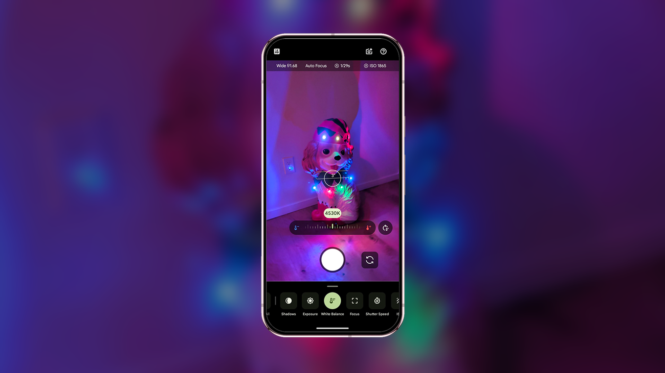 Google Pixel camera Pro settings used to shoot holiday photos
